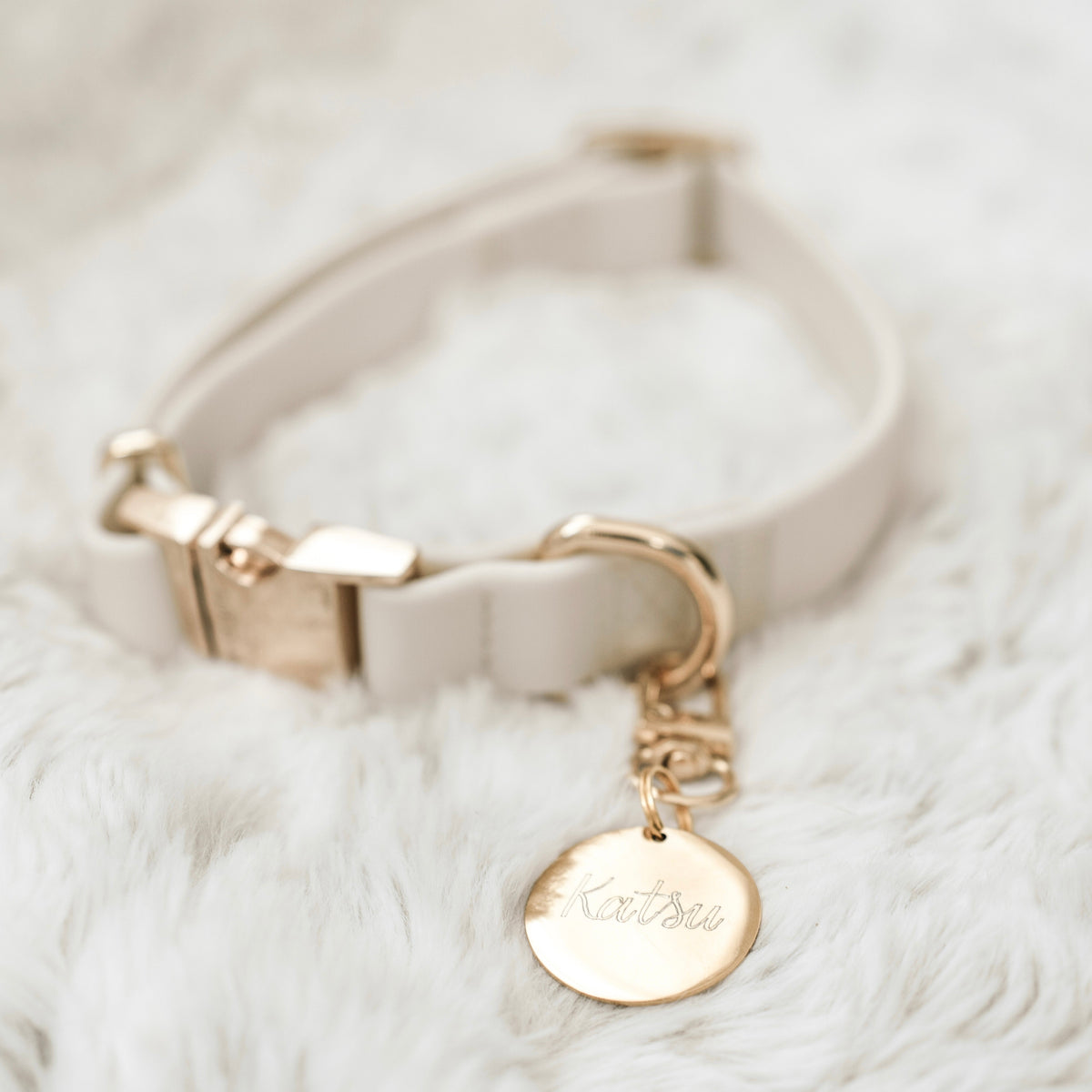 Fur Elise Dog Collar - Bone — collar styling detail