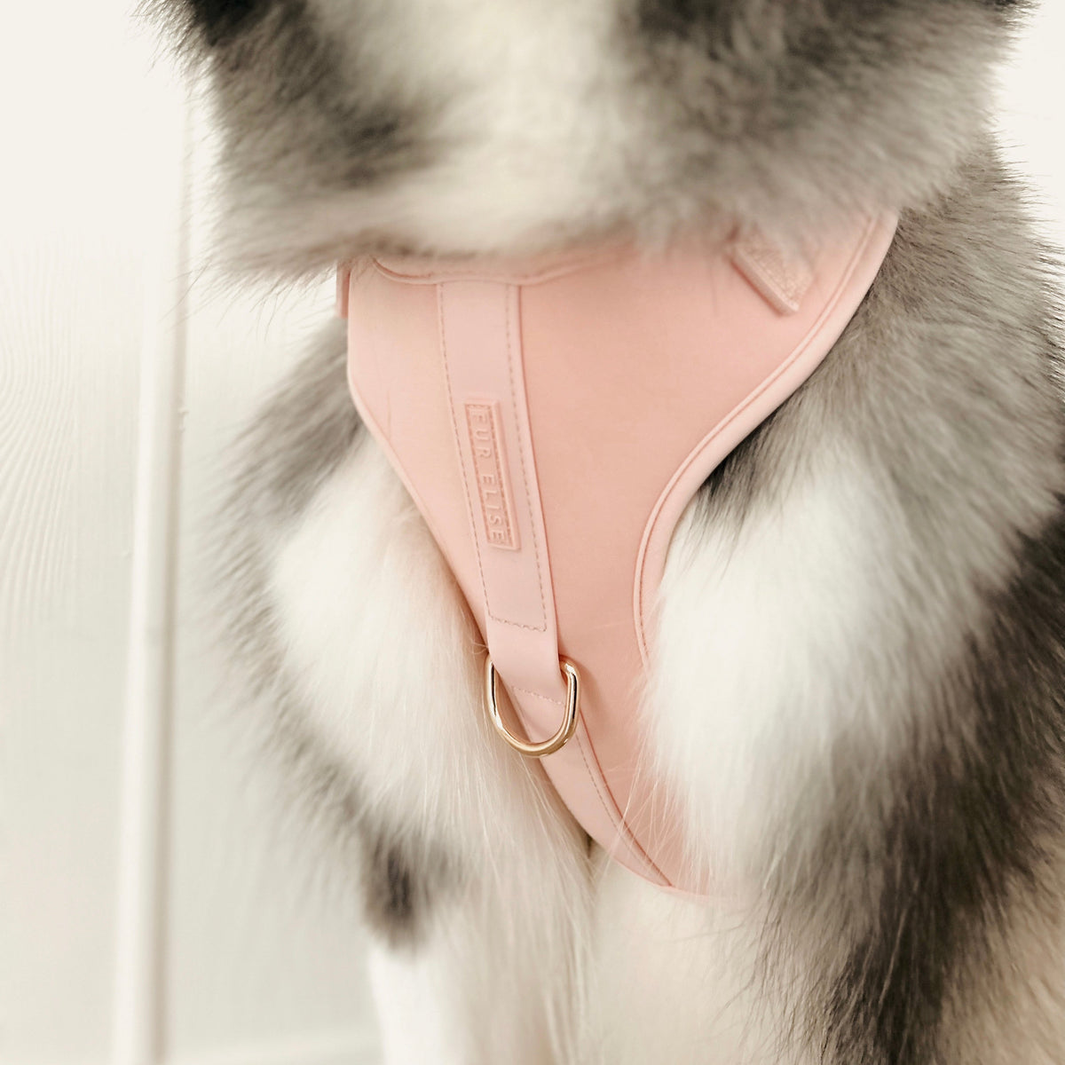Fur Elise Essentials Dog Walking Set - Rose — individual component or lifestyle view