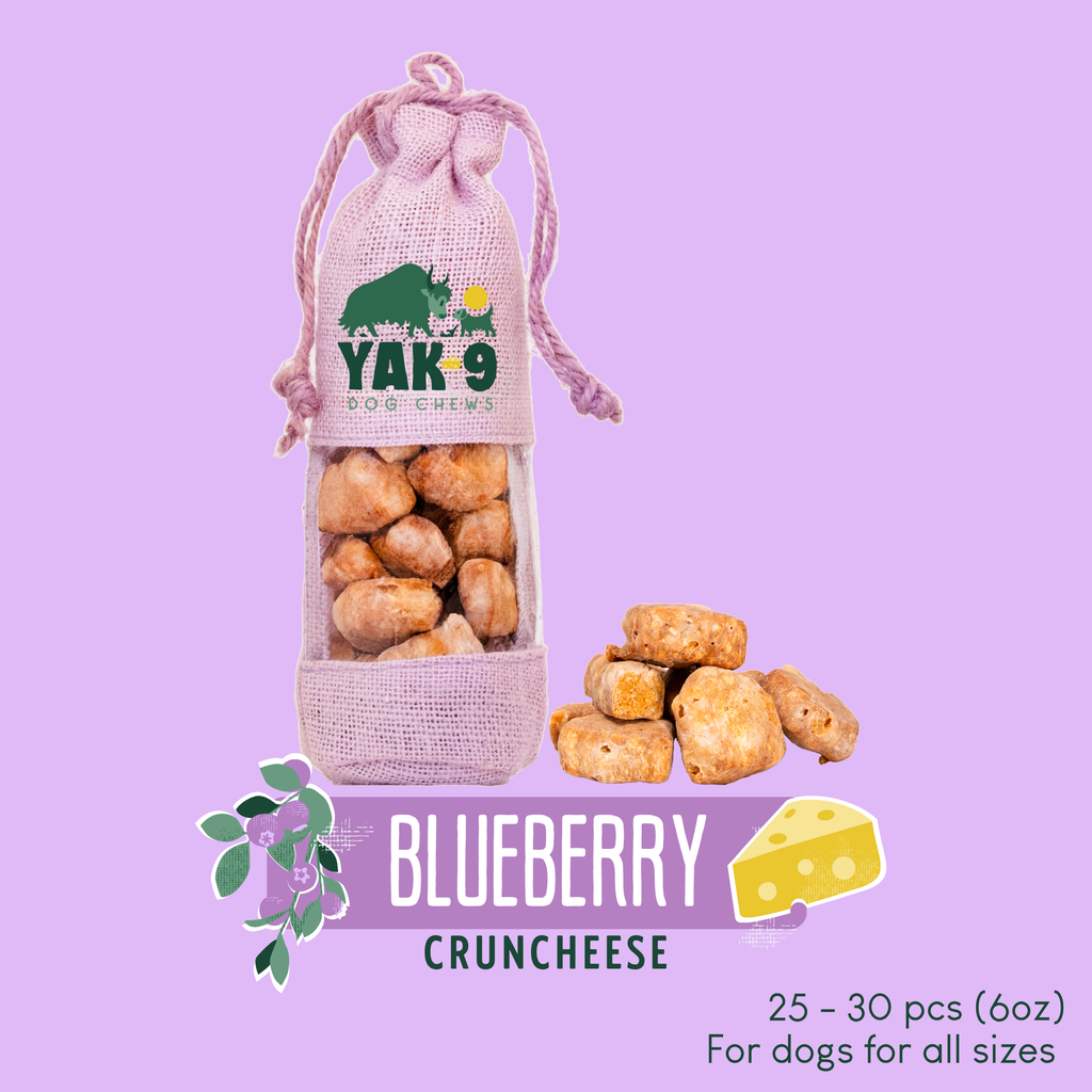 yak9 - Blueberry Yak Chews for Dogs