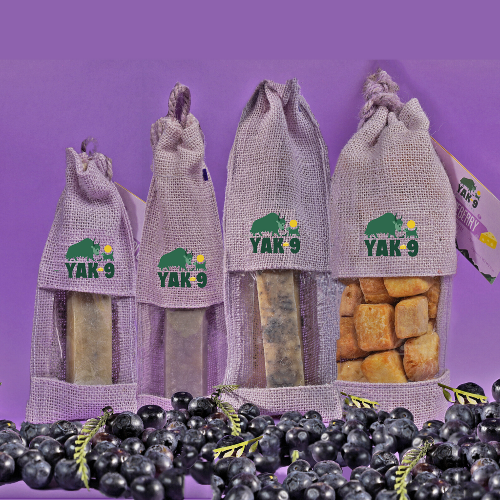 yak9 - Blueberry Yak Chews for Dogs
