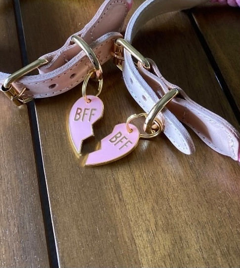 BFF Pet ID Tags Pink