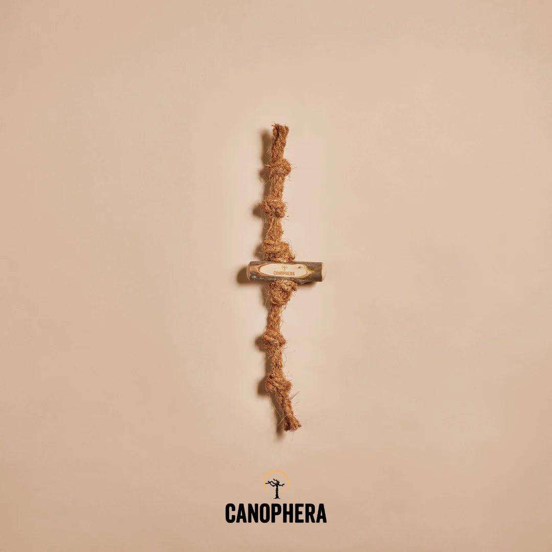 Canophera Cat Olive & Coco