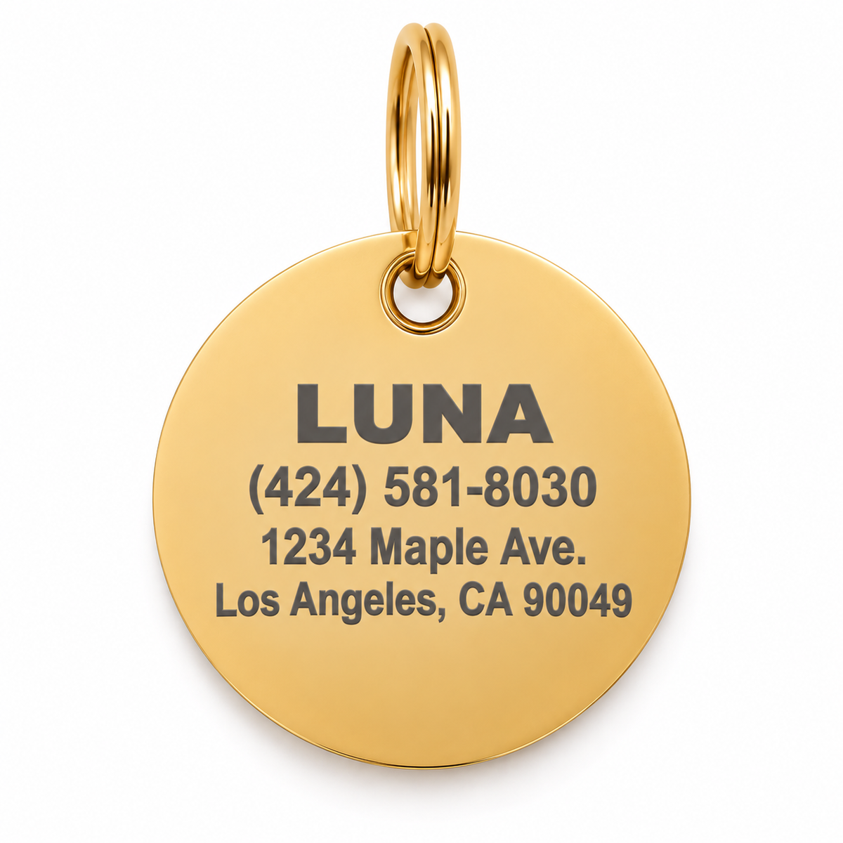 Boss of Everything Pet ID Tag
