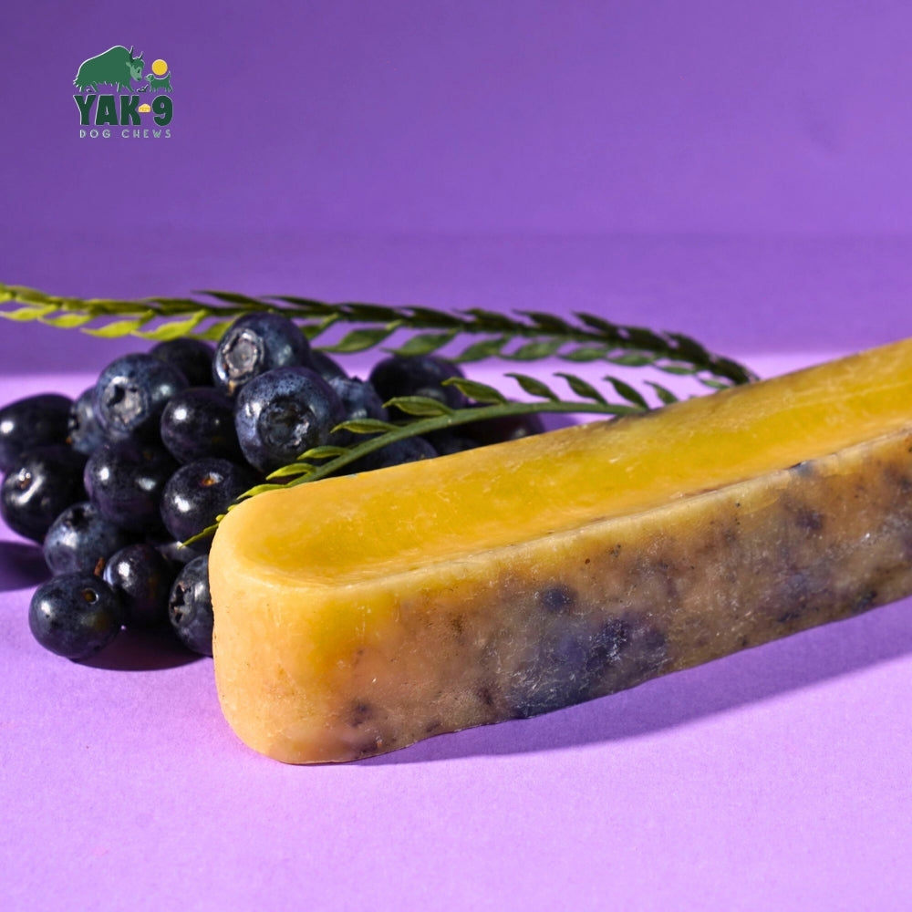 yak9 - Blueberry Yak Chews for Dogs