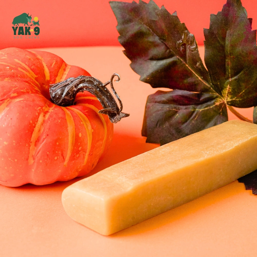 yak9 - Pumpkin Yak Chews for Dogs