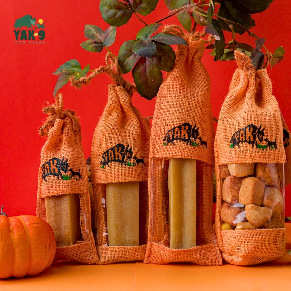 yak9 - Pumpkin Yak Chews for Dogs