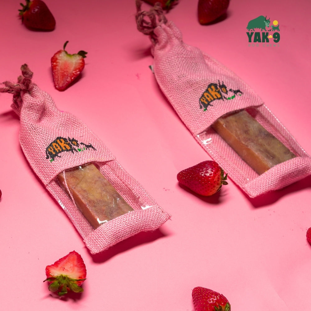 yak9 - Strawberry Cheese Chews for Dogs