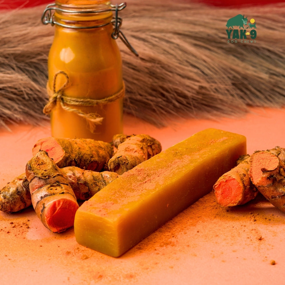 yak9 - Turmeric Yak Milk Chews for Dogs