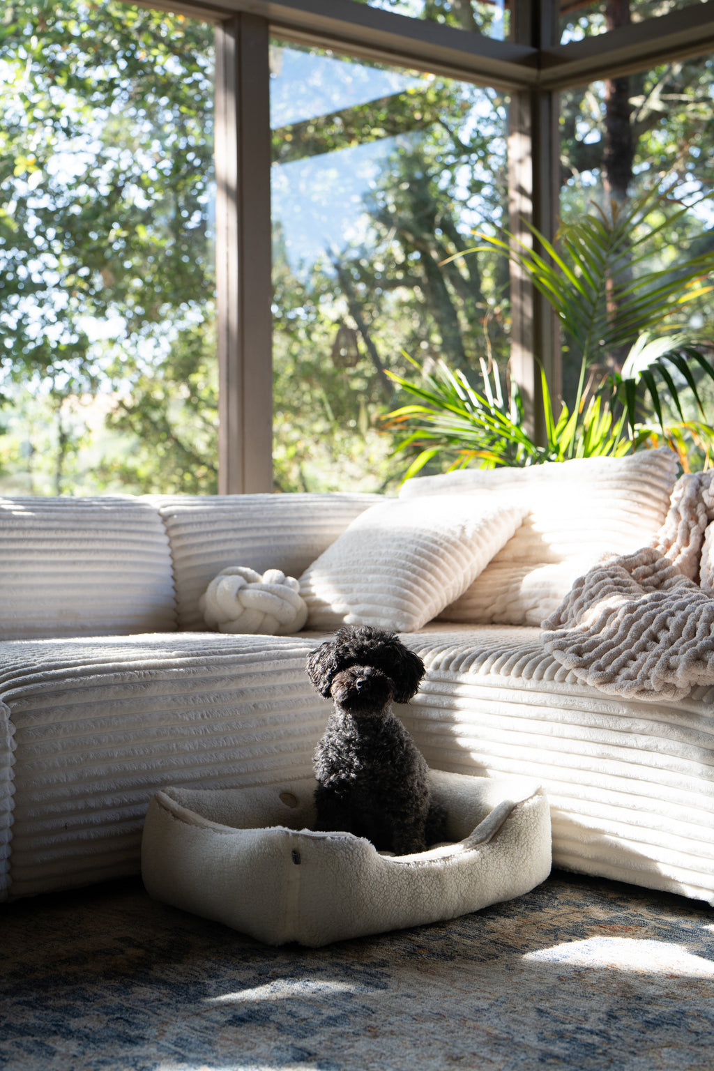 Chester & Lee - Furry Sleeper Dog Bed Beige