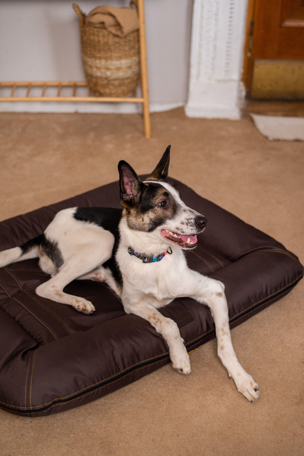 Chester & Lee - Waterproof Lounger Dog Bed Brown