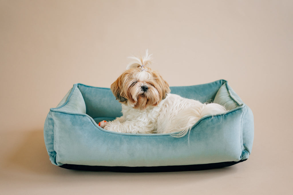 Chester & Lee - Vibrant Velvet Sleeper Dog Bed Tiffany