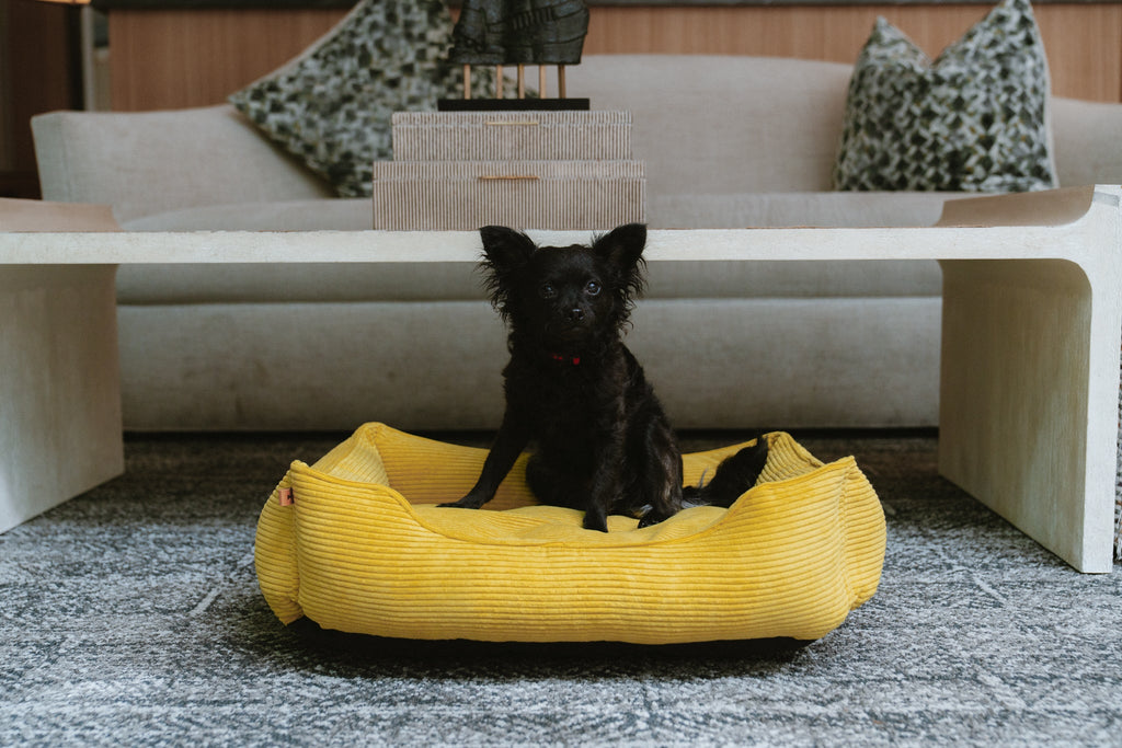 Chester & Lee - Fancy Corduroy Sleeper Dog Bed Sunny Yellow