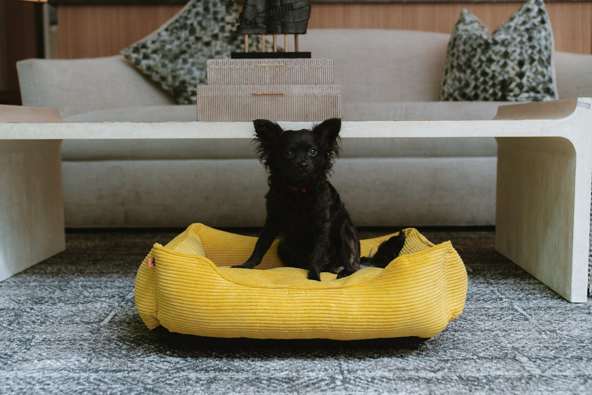 Chester & Lee - Fancy Corduroy Sleeper Dog Bed Sunny Yellow