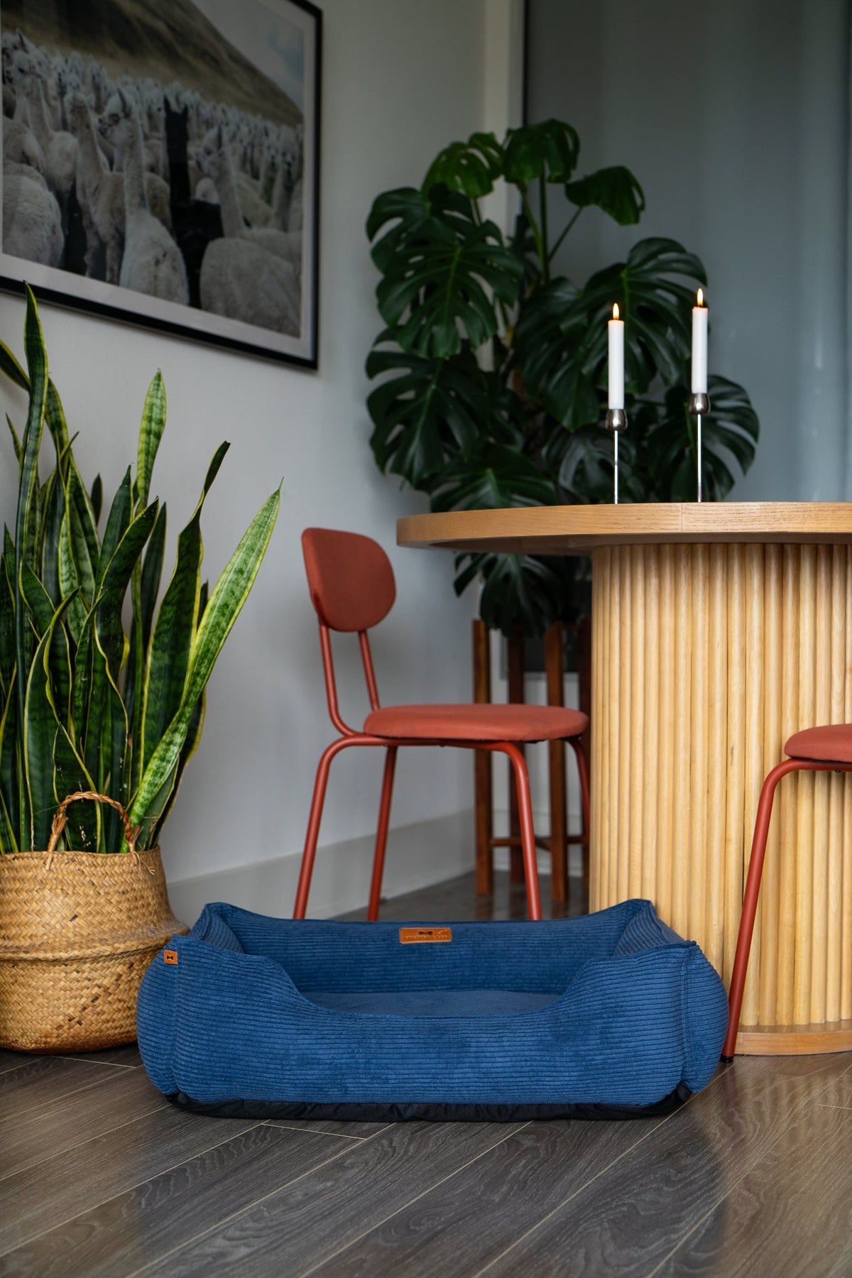 Chester & Lee - Fancy Corduroy Sleeper Dog Bed Blue