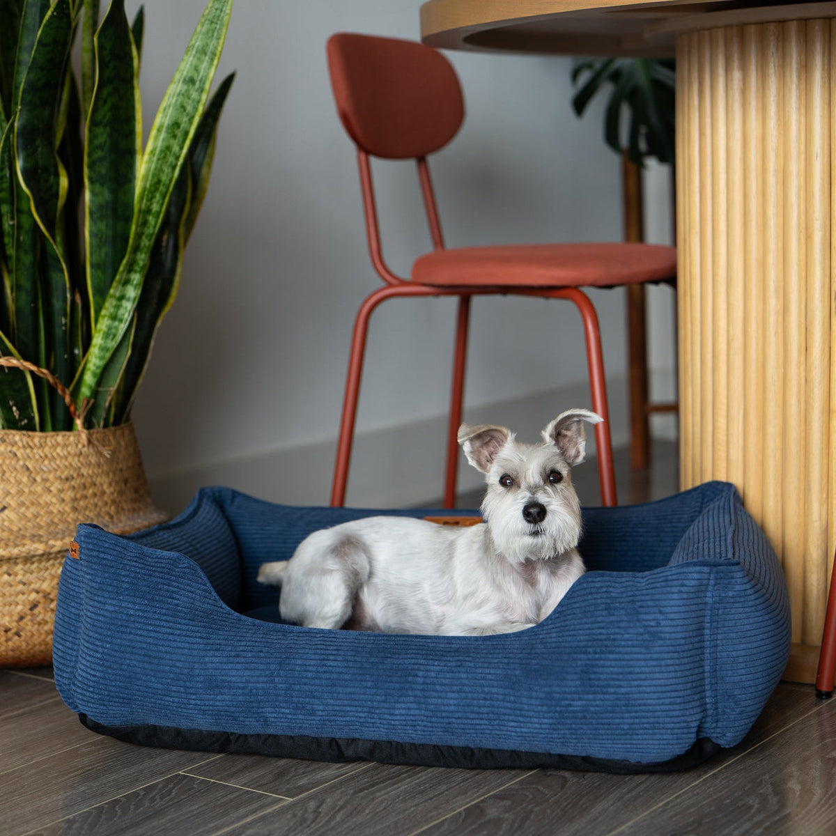 Chester & Lee - Fancy Corduroy Sleeper Dog Bed Blue