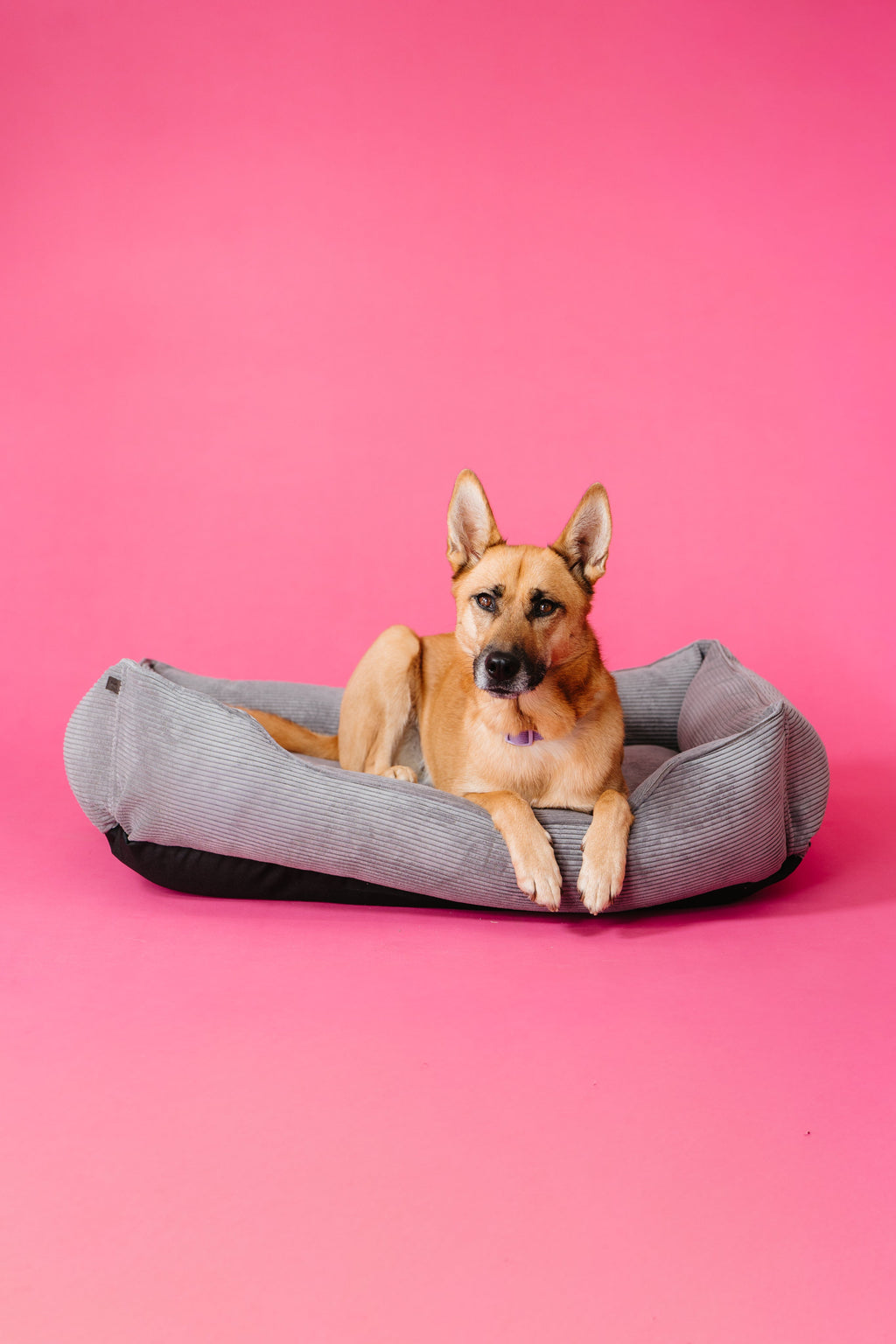 Chester & Lee - Fancy Corduroy Sleeper Dog Bed Gray