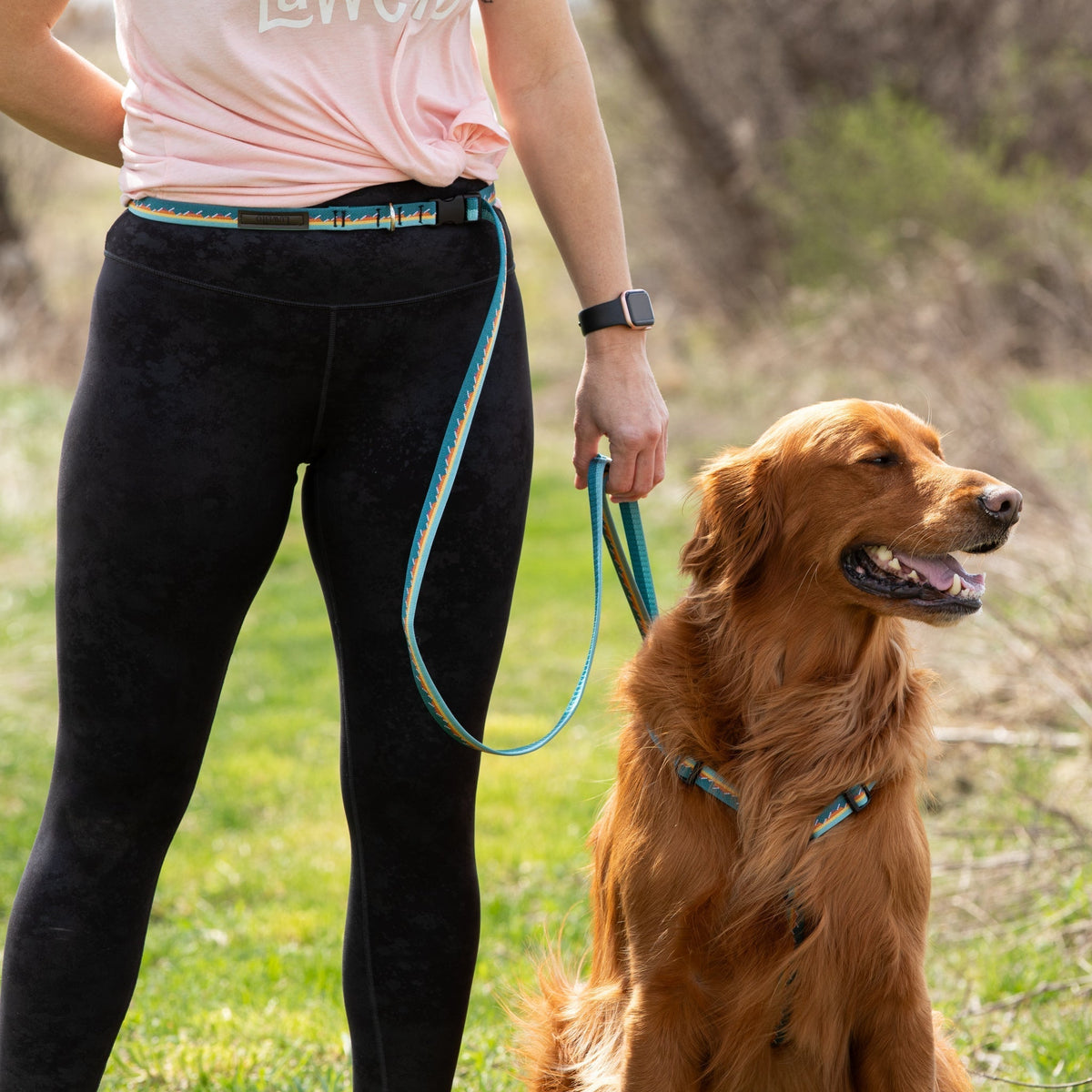 Adjustable Hands-Free Leash - 3/4-Inch
