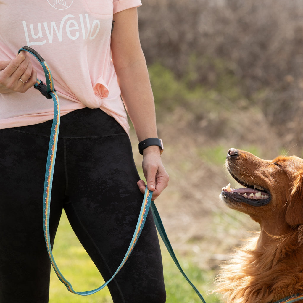 Adjustable Hands-Free Leash - 3/4-Inch