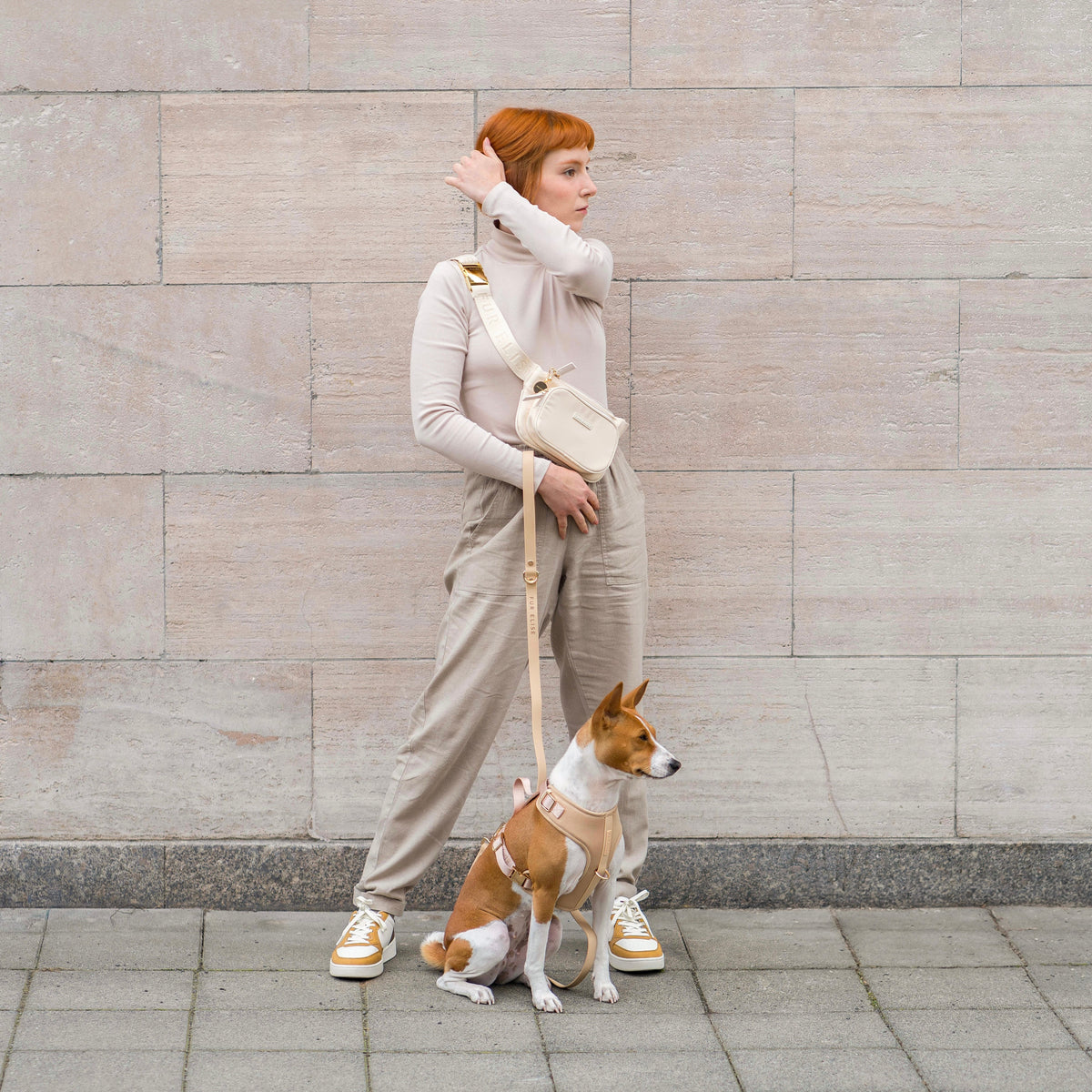 Fur Elise Dog Harness & Leash Set - Sand — individual component or lifestyle view