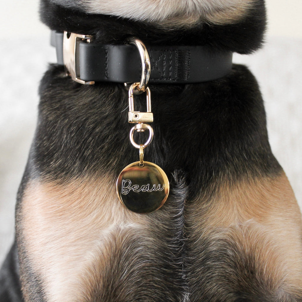 Fur Elise On-the-Go Dog Walking Set - Noir — individual component or lifestyle view