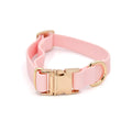Fur Elise Dog Collar - Rose — collar and buckle