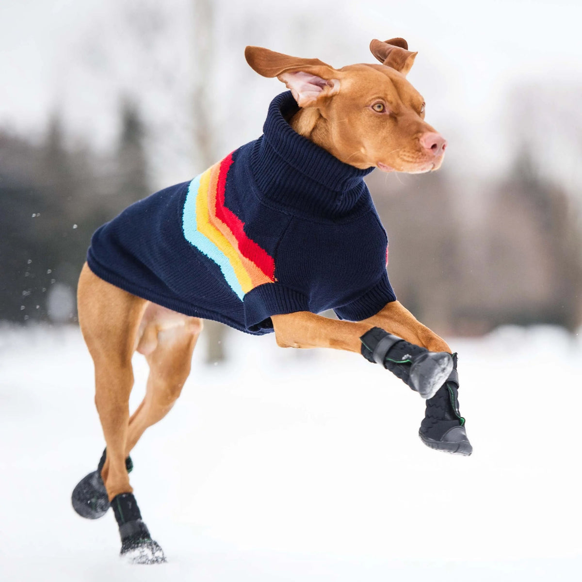 GF PET Elasto-Fit Dog Boots - Black