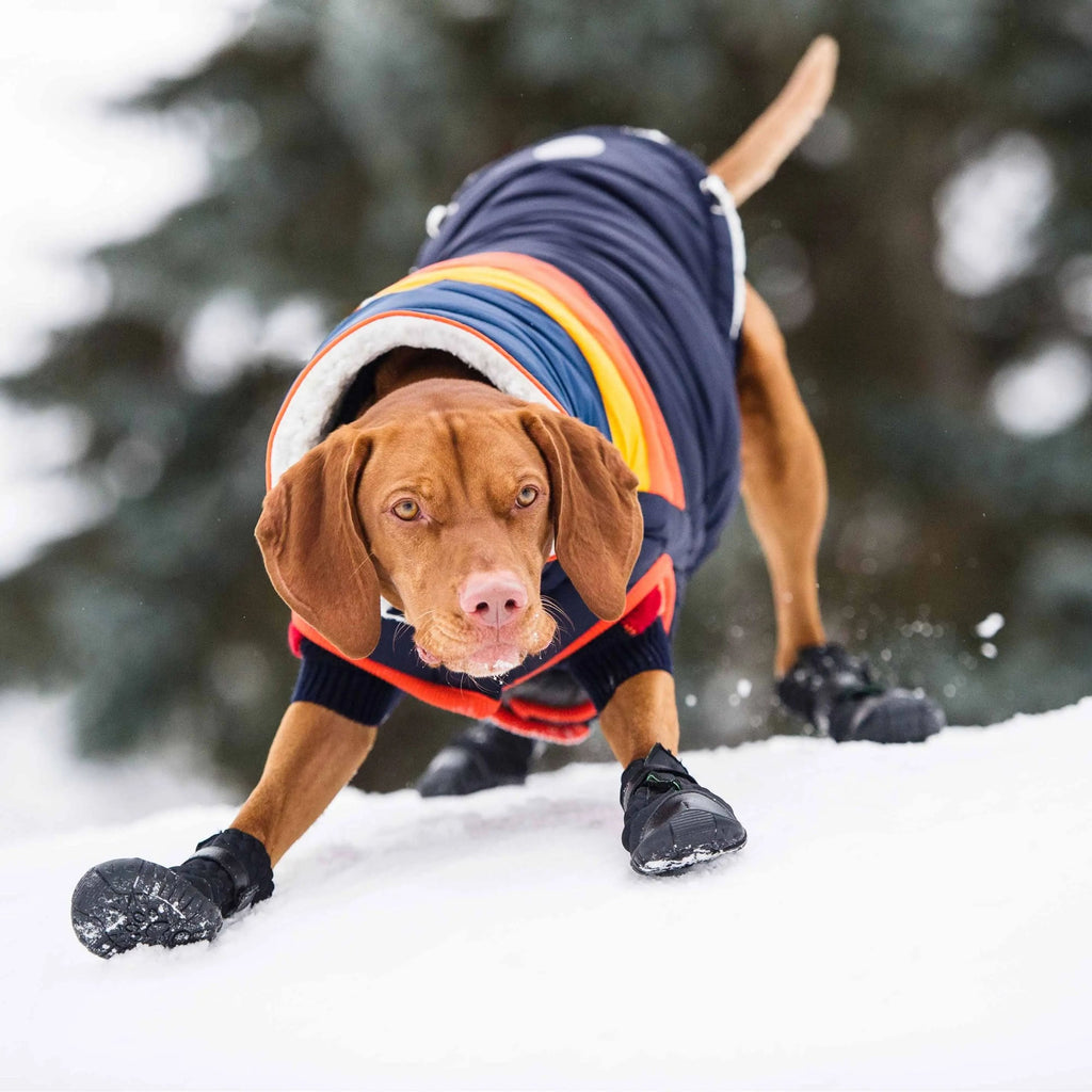 GF PET Elasto-Fit Dog Boots - Black