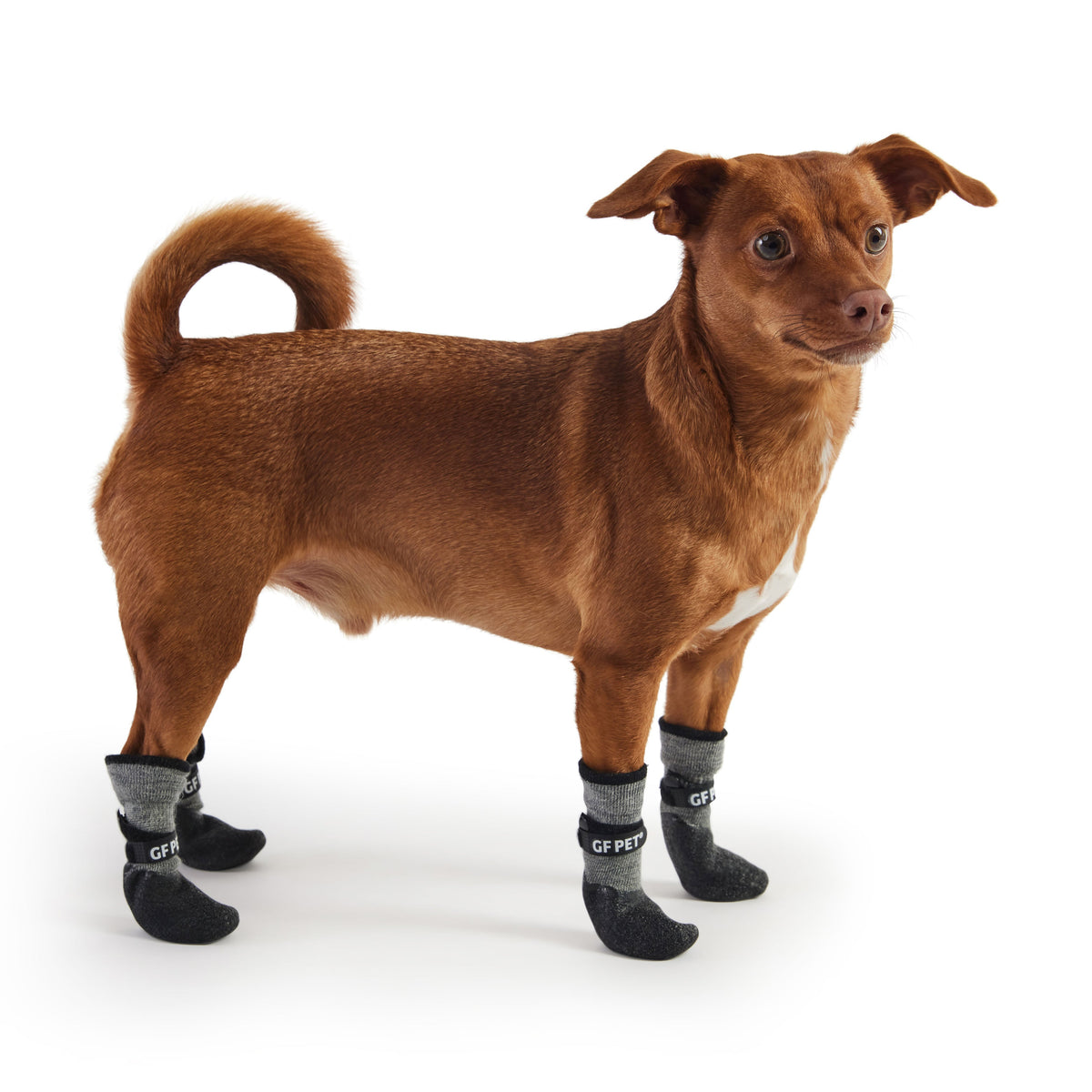 GF PET All-Terrain Dog Boots - Charcoal