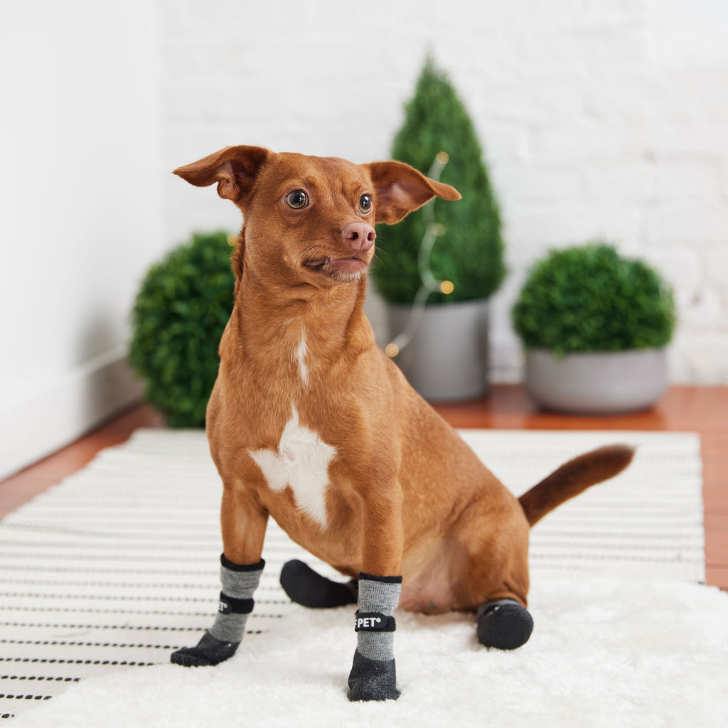 GF PET All-Terrain Dog Boots - Charcoal