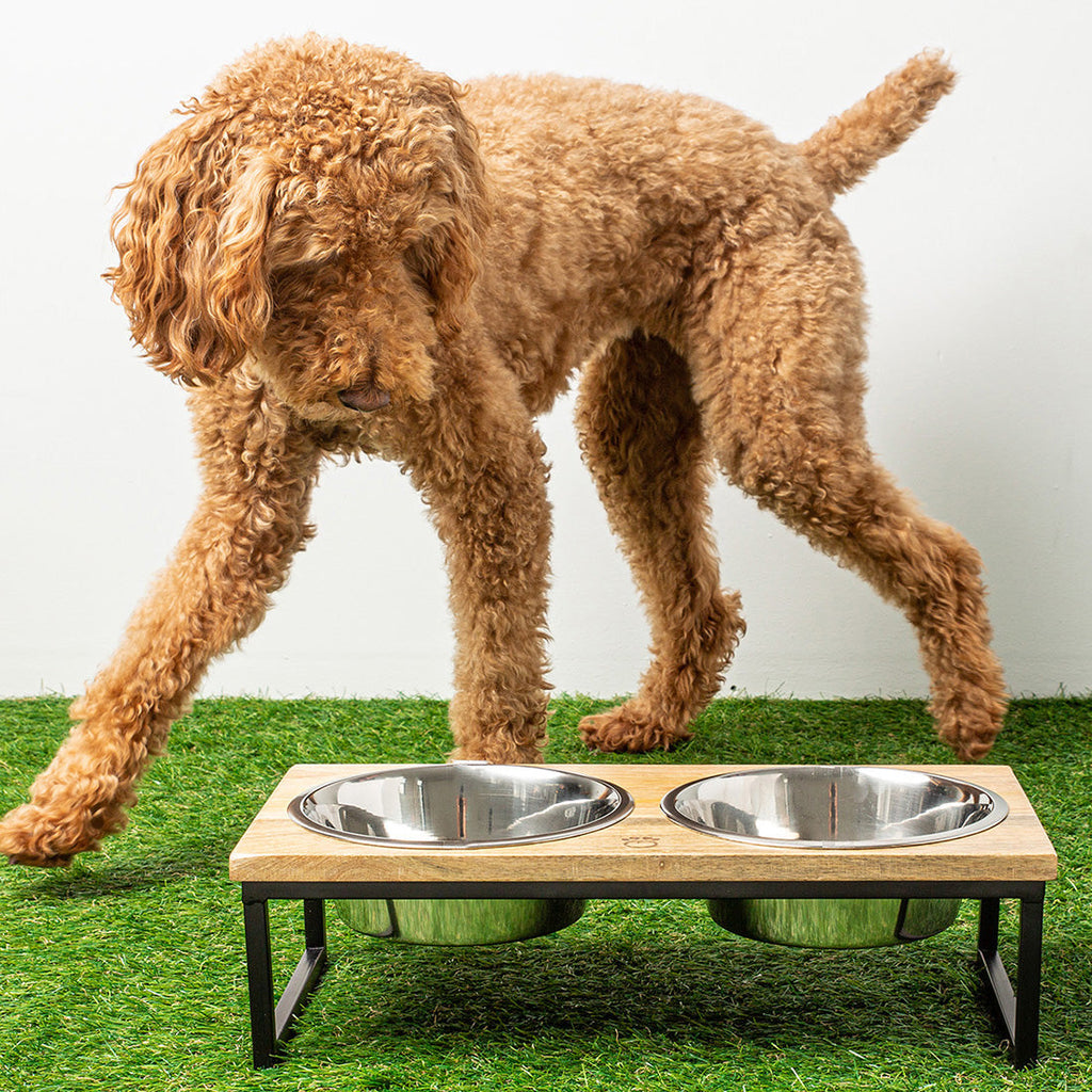 GF PET Wood & Metal Elevated Double Pet Feeder