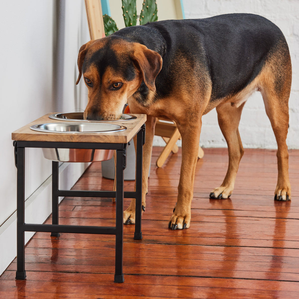 GF PET Wood & Metal Elevated Double Pet Feeder