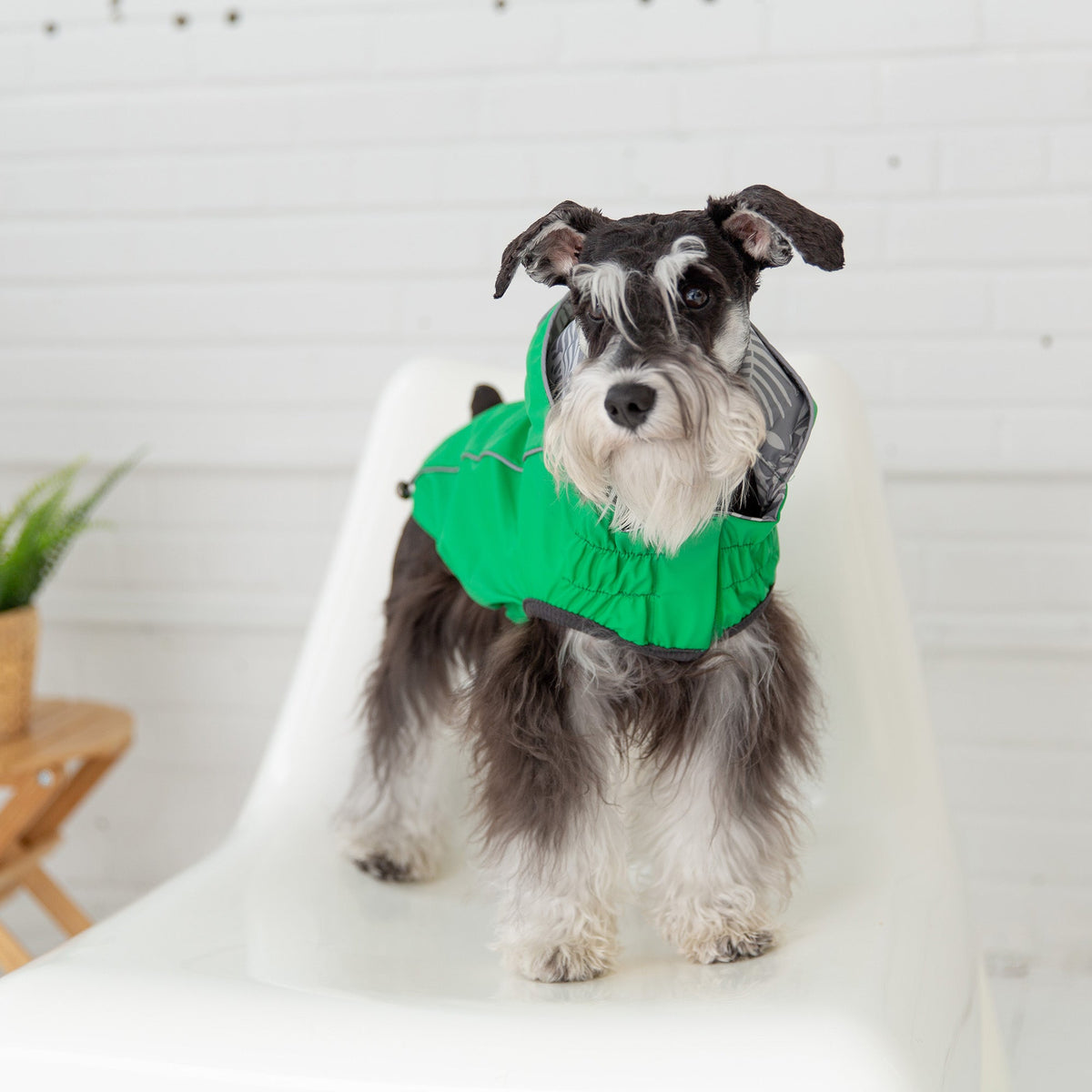 GF PET Reversible Elasto-Fit Dog Raincoat - Green