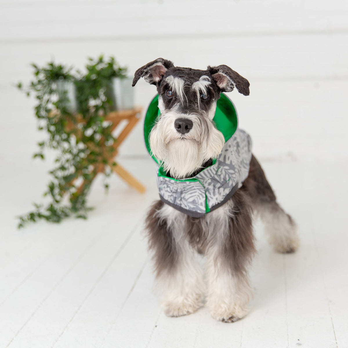 GF PET Reversible Elasto-Fit Dog Raincoat - Green