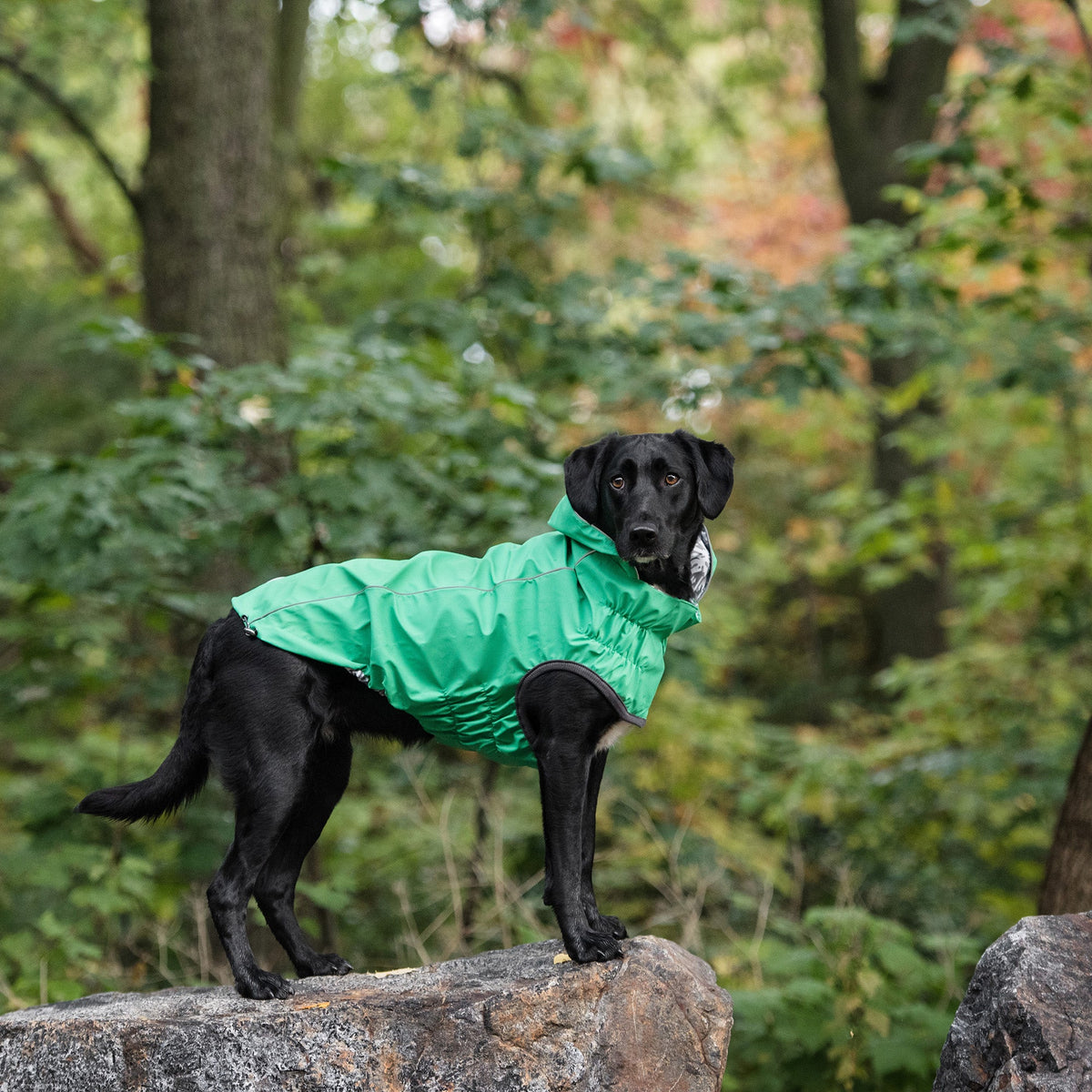 GF PET Reversible Elasto-Fit Dog Raincoat - Green