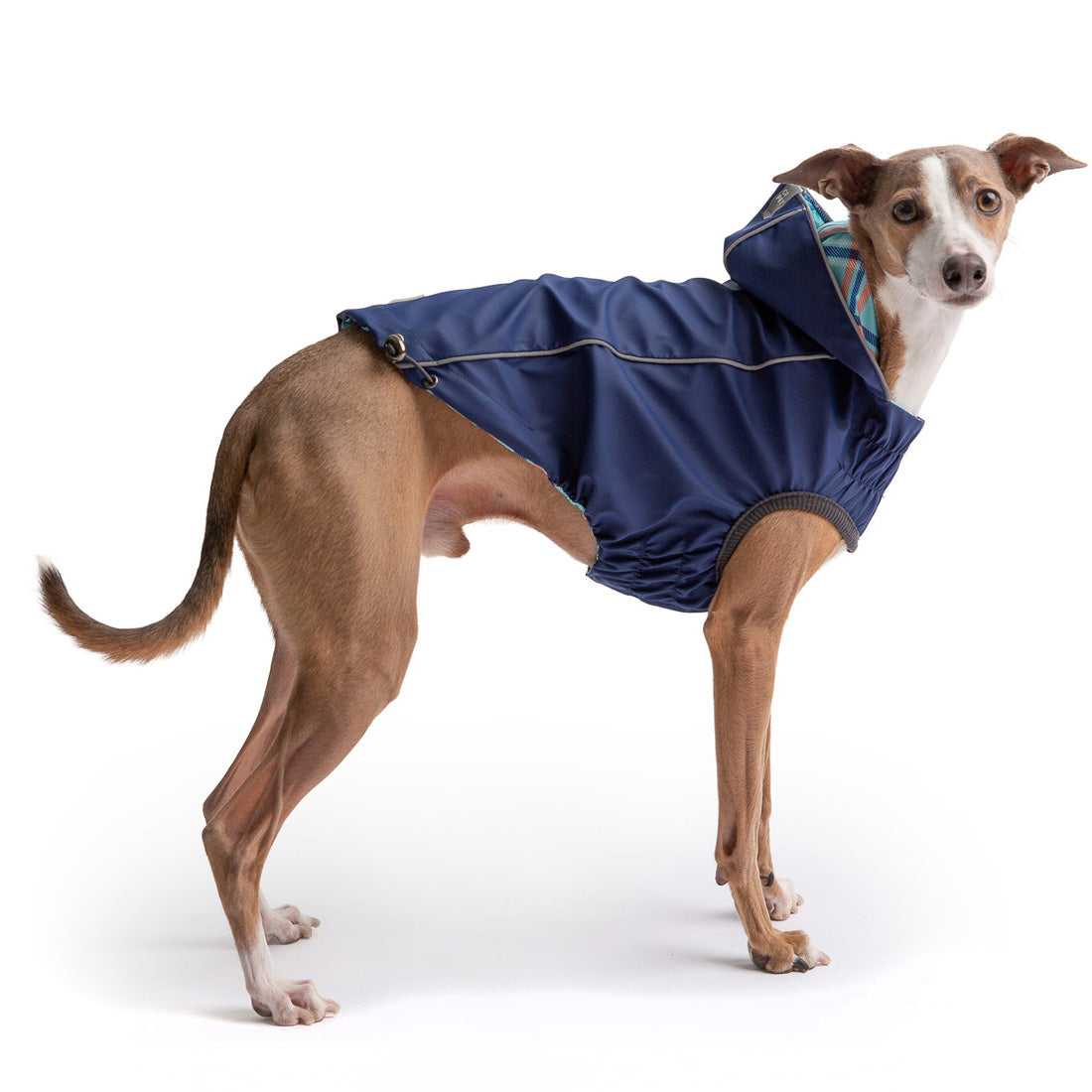 GF PET Reversible Elasto-Fit Dog Raincoat - Navy