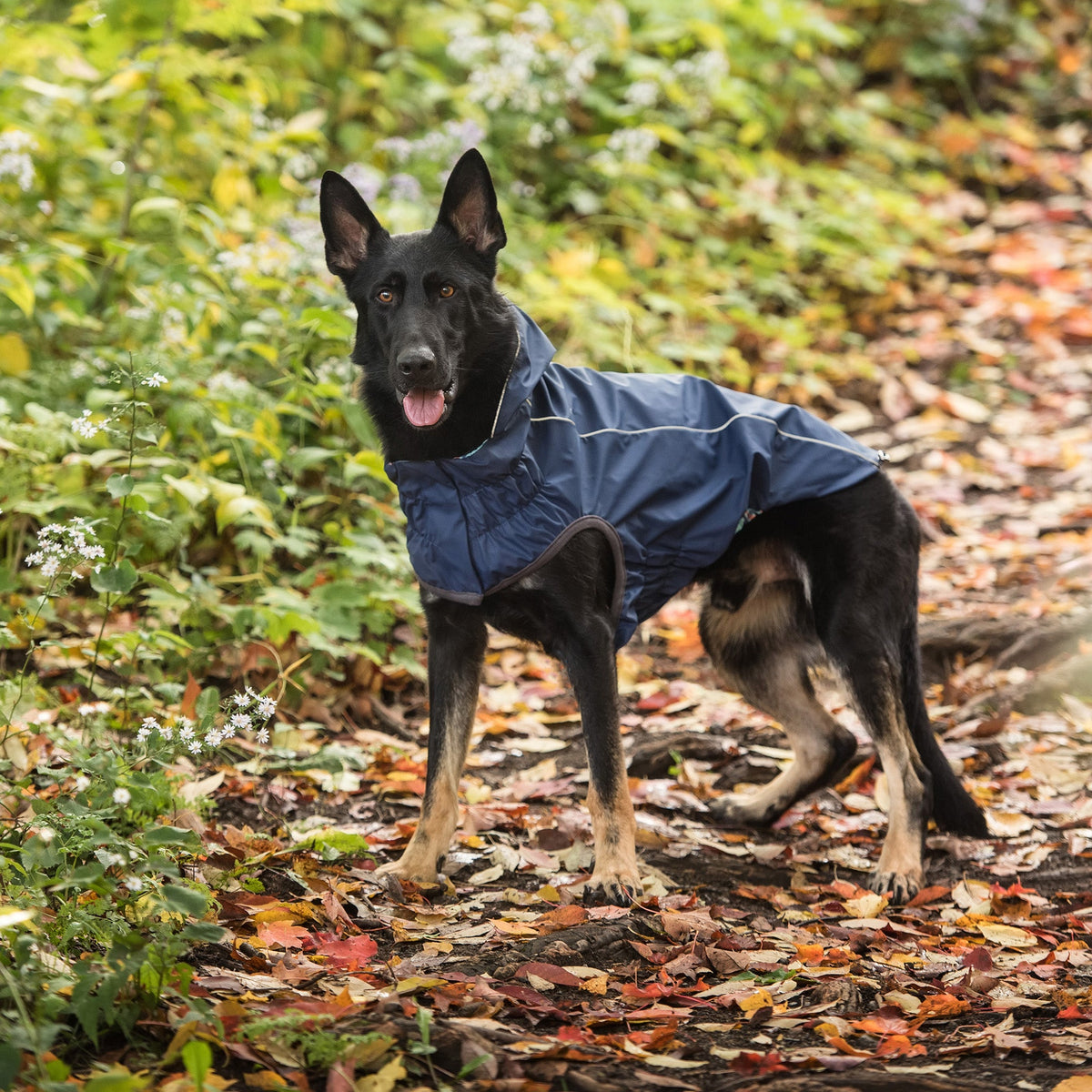 GF PET Reversible Elasto-Fit Dog Raincoat - Navy