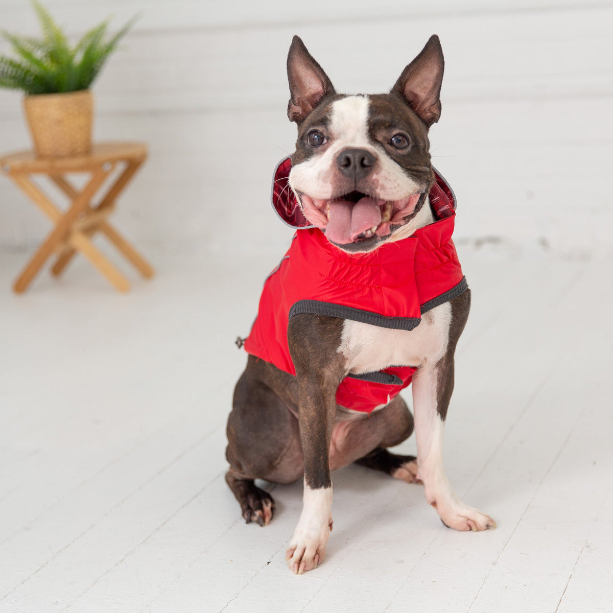 GF PET Reversible Elasto-Fit Dog Raincoat - Red