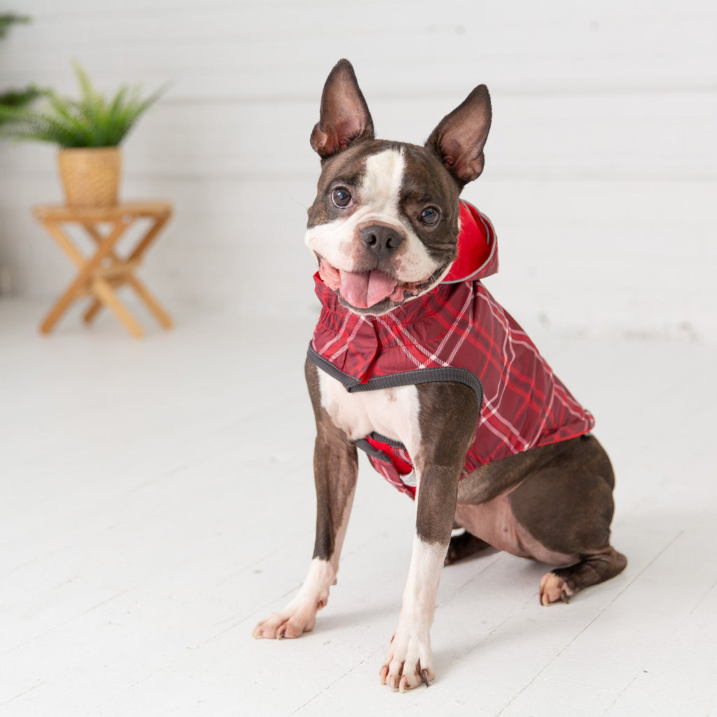 GF PET Reversible Elasto-Fit Dog Raincoat - Red