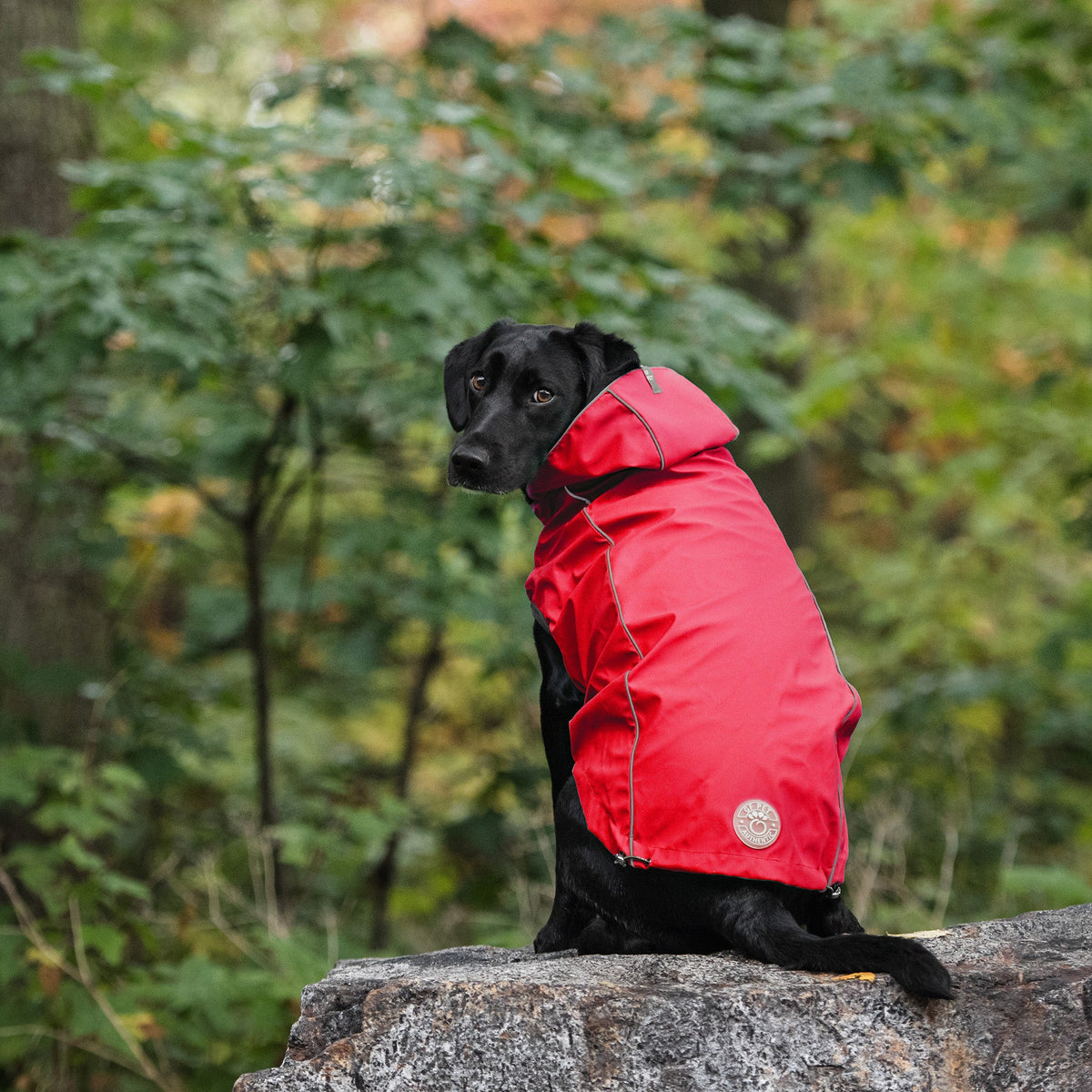 GF PET Reversible Elasto-Fit Dog Raincoat - Red