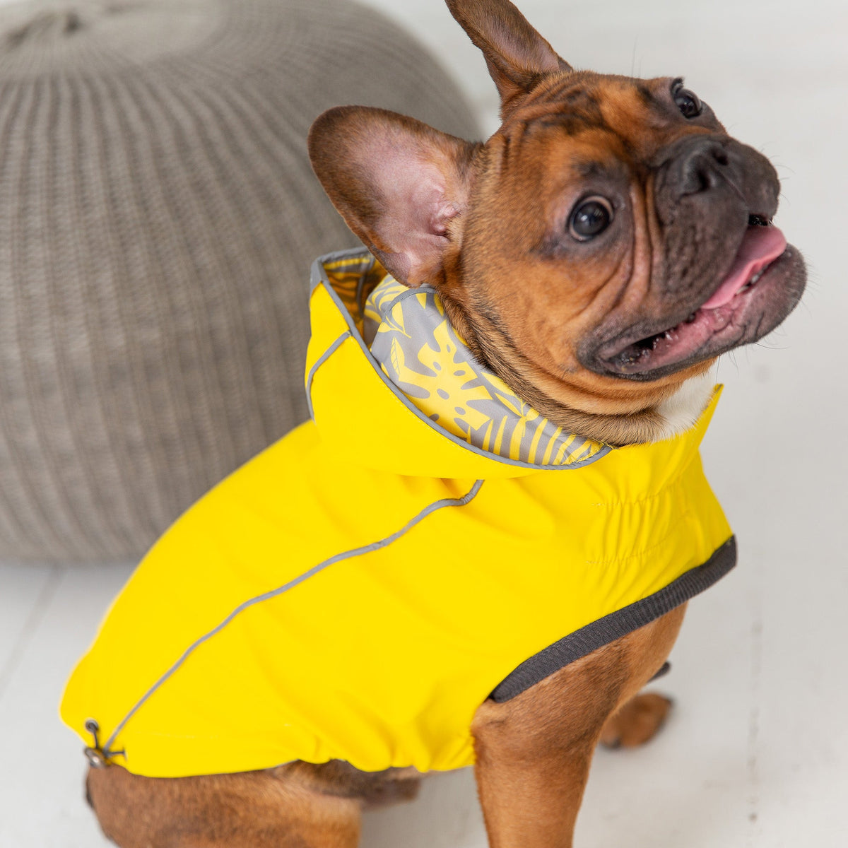 GF PET Reversible Elasto-Fit Dog Raincoat - Yellow
