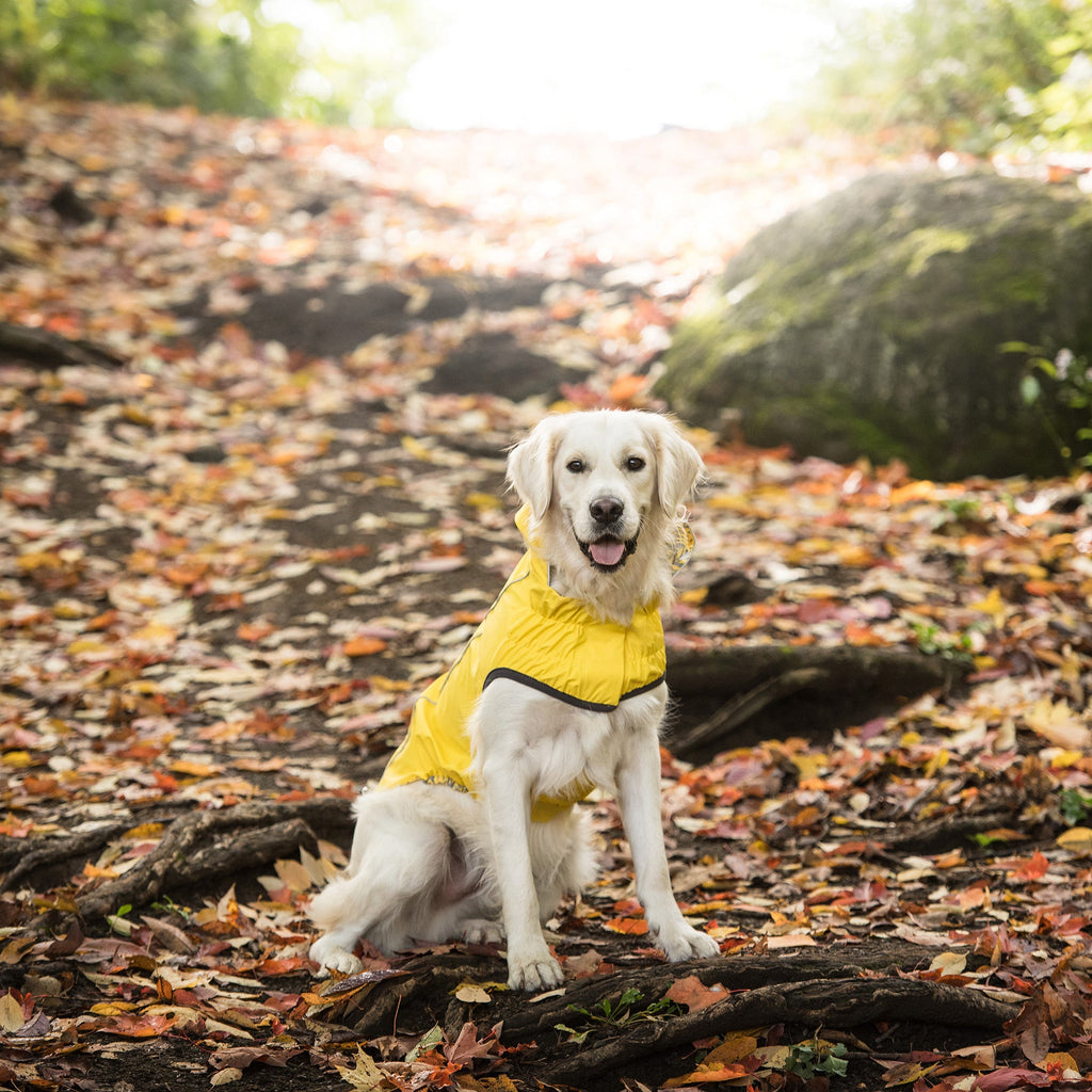 GF PET Reversible Elasto-Fit Dog Raincoat - Yellow
