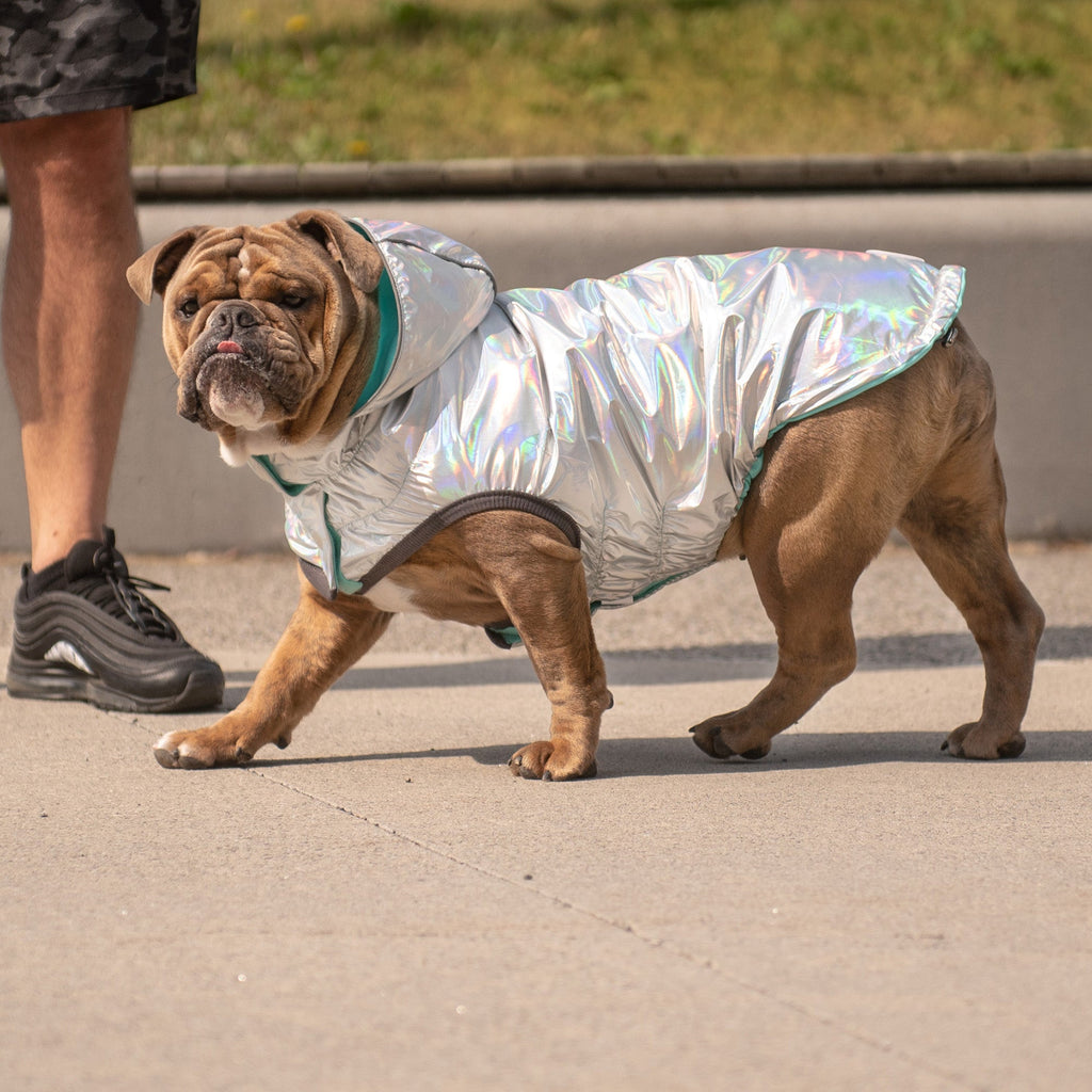GF PET Reversible Dog Raincoat - Neon Aqua with Iridescent