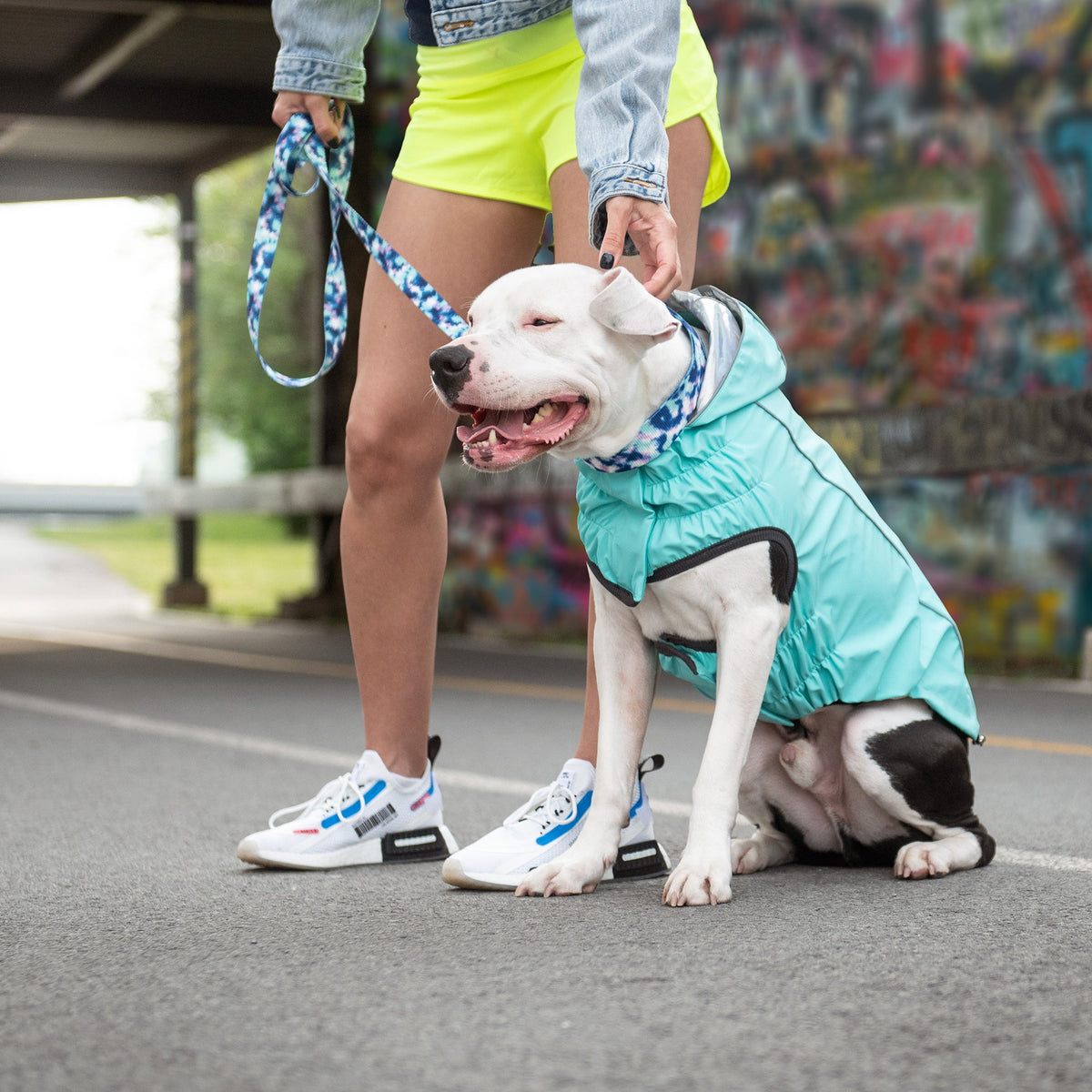 GF PET Reversible Dog Raincoat - Neon Aqua with Iridescent