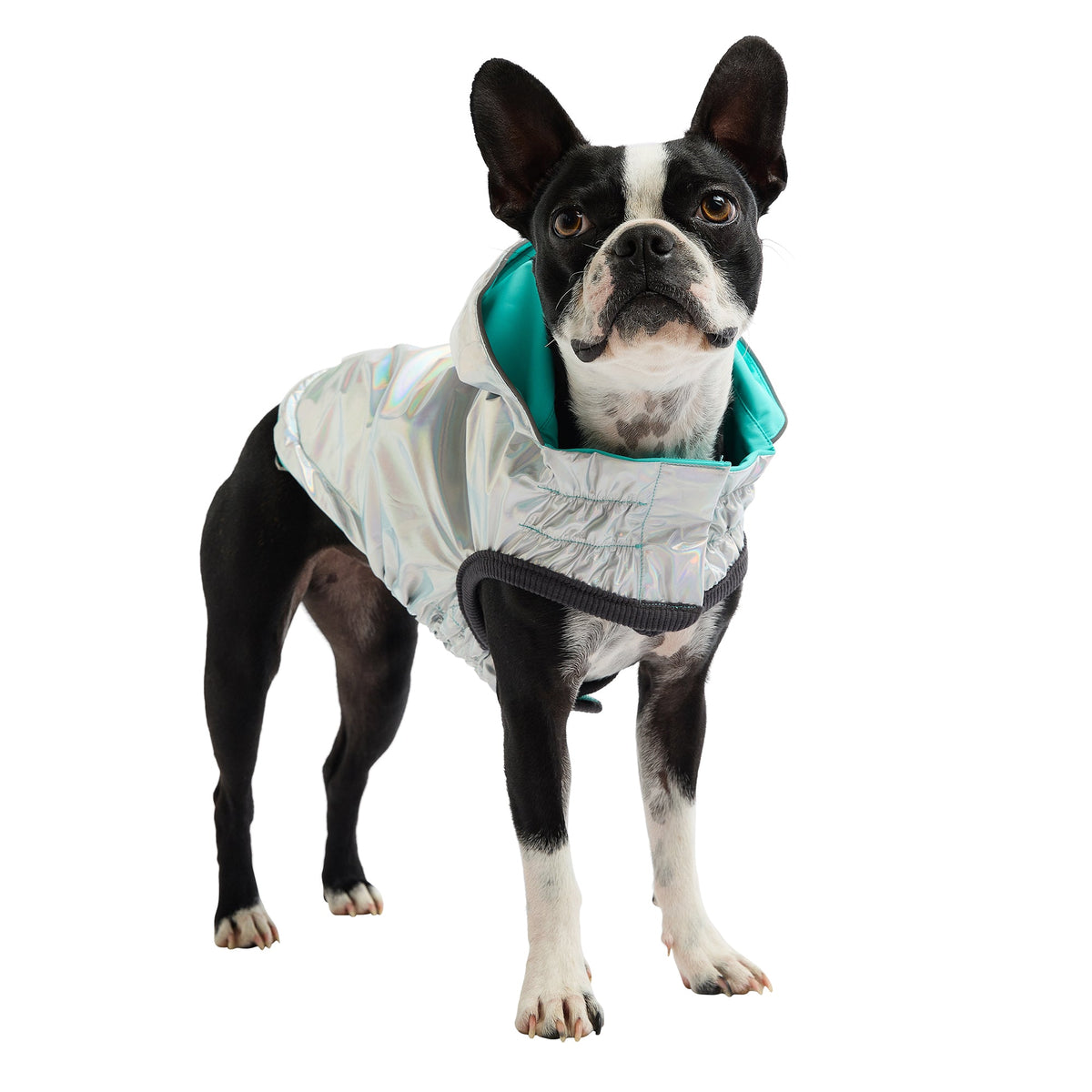 GF PET Reversible Dog Raincoat - Neon Aqua with Iridescent