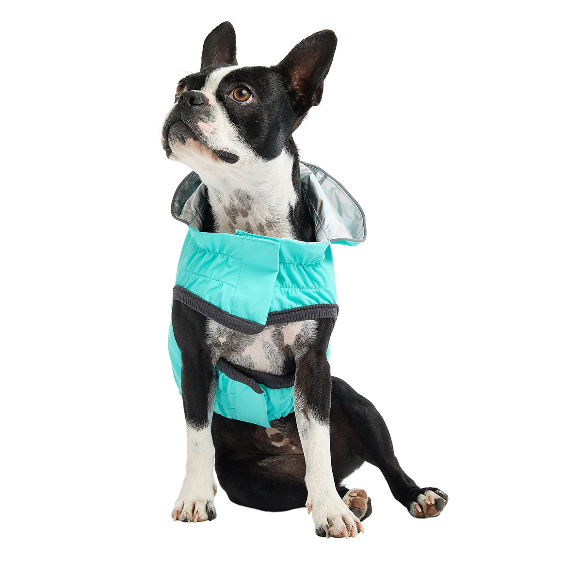 GF PET Reversible Dog Raincoat - Neon Aqua with Iridescent
