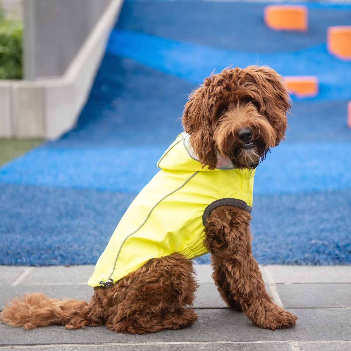 GF PET Reversible Dog Raincoat - Neon Yellow with Tie Dye