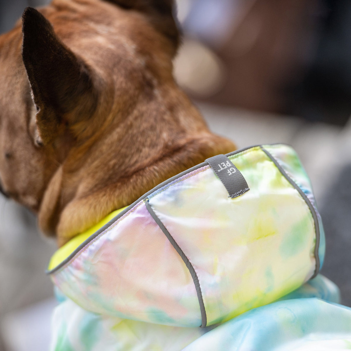 GF PET Reversible Dog Raincoat - Neon Yellow with Tie Dye