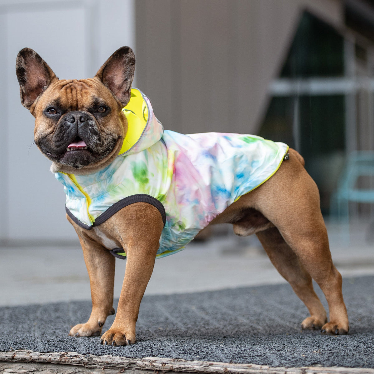 GF PET Reversible Dog Raincoat - Neon Yellow with Tie Dye