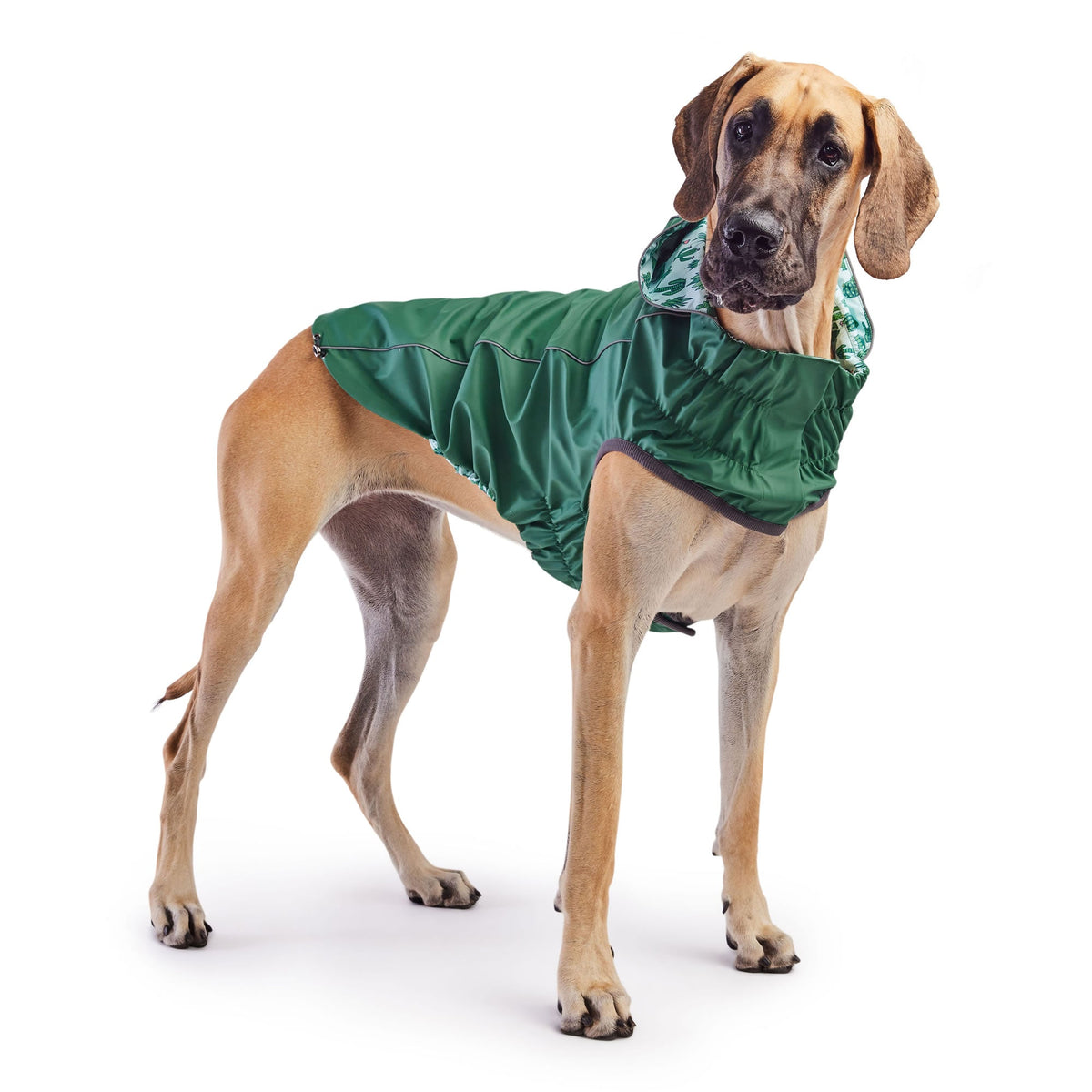 GF PET Reversible Elasto-Fit Dog Raincoat - Green/Green
