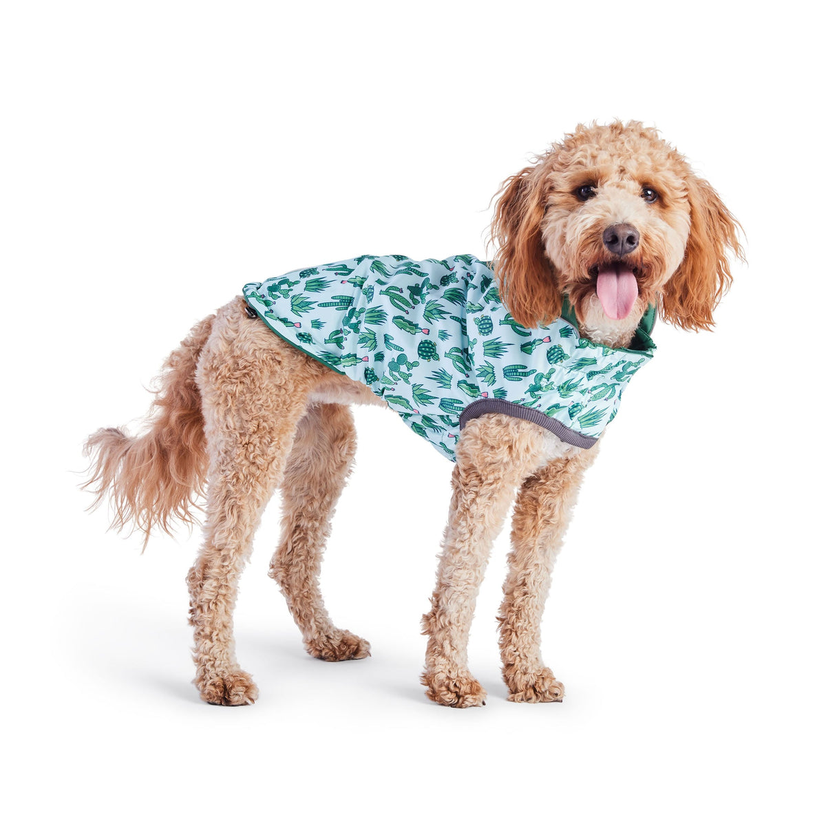 GF PET Reversible Elasto-Fit Dog Raincoat - Green/Green